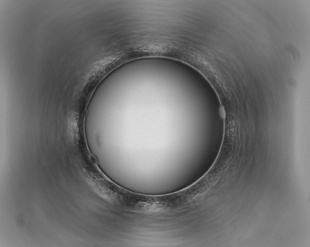 X0000112820688200908211206