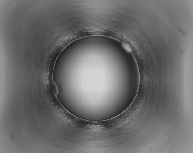 X0000112820689200908211206