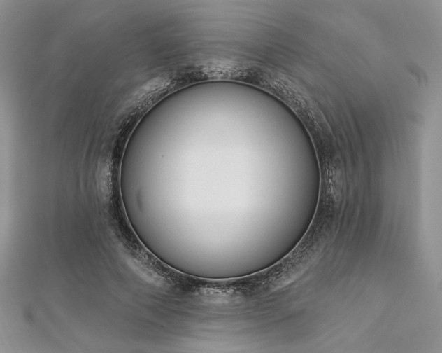 X0000112820690200908211206