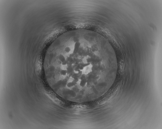 X0000112820691200908211206
