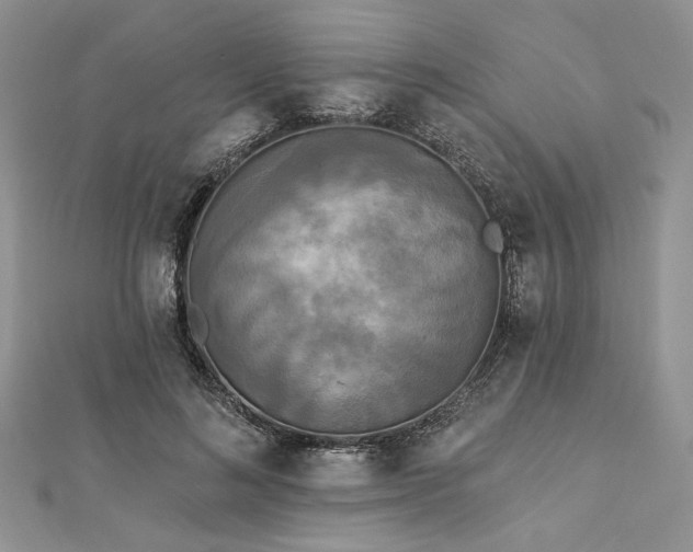 X0000112820692200908211206