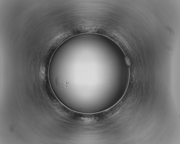 X0000112820693200908211206