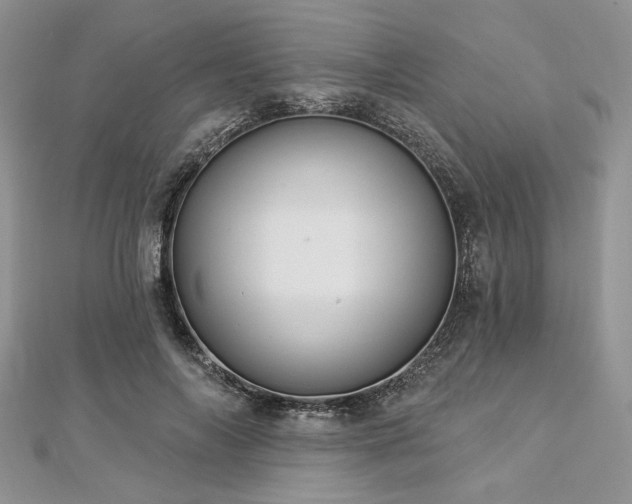 X0000112820694200908211206