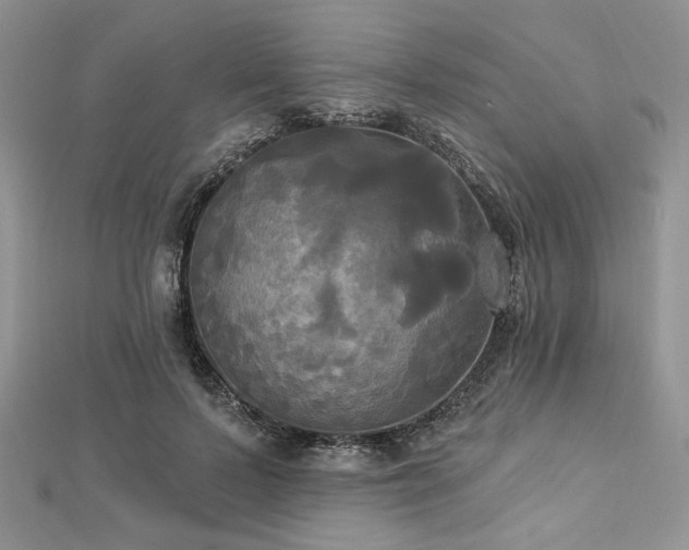 X0000112820695200908211206