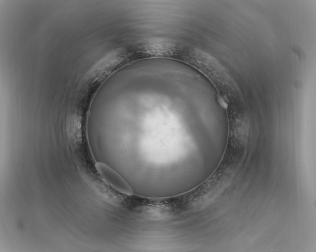 X0000112820696200908211206