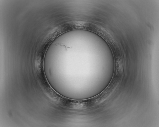 X0000112820698200908211206