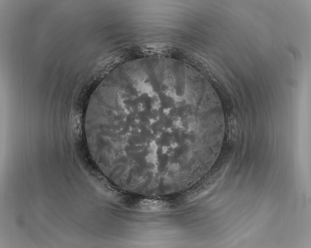 X0000112820699200908211206