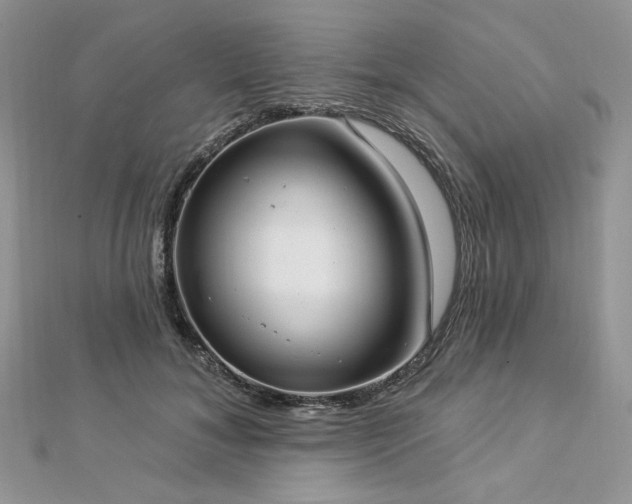 X0000112820700200908211206