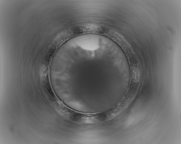 X0000112820701200908211206