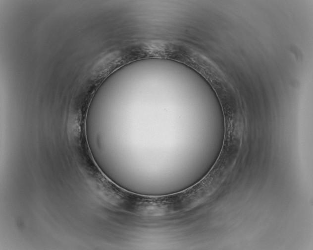 X0000112820702200908211206