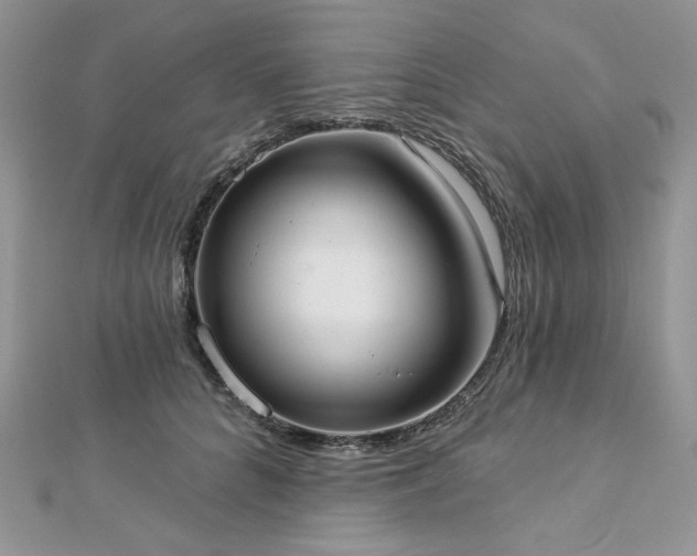 X0000112820704200908211206