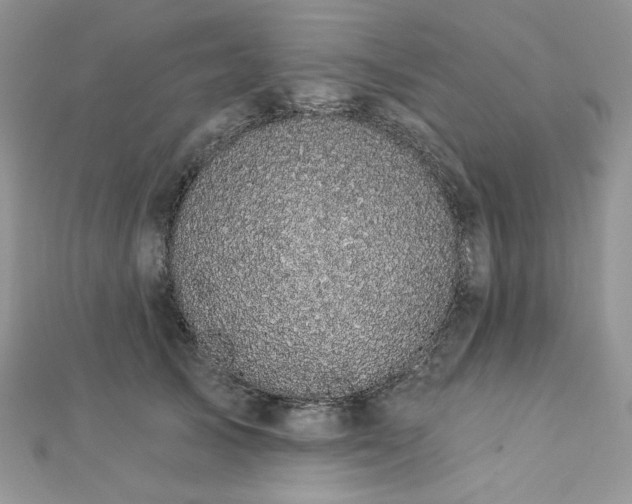 X0000112820705200908211206