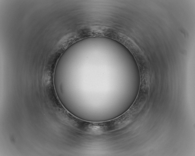 X0000112820706200908211206