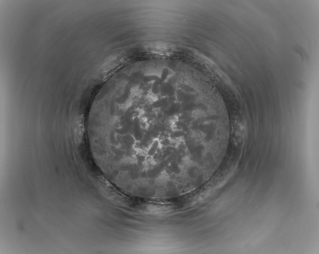 X0000112820707200908211206