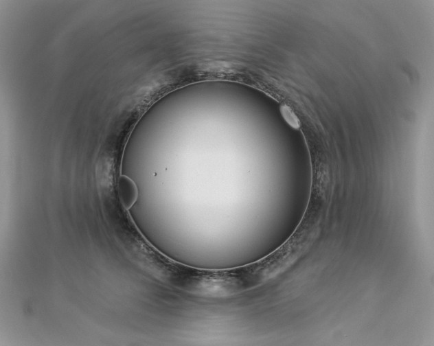 X0000112820708200908211206