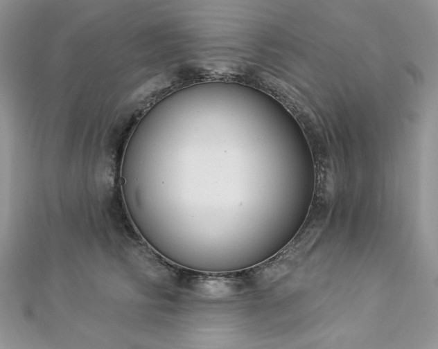 X0000112820710200908211206