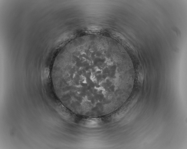 X0000112820711200908211206