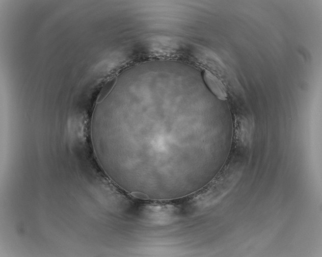 X0000112820712200908211206