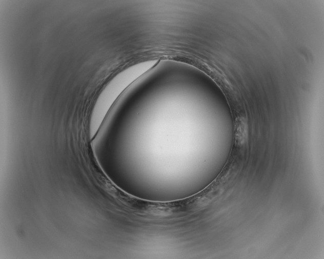 X0000112820713200908211206