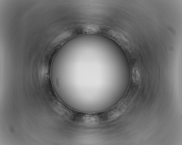 X0000112820714200908211206