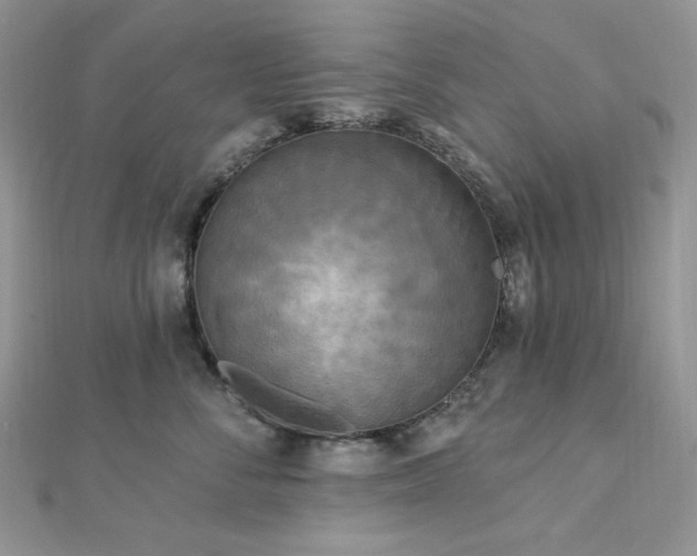 X0000112820716200908211206