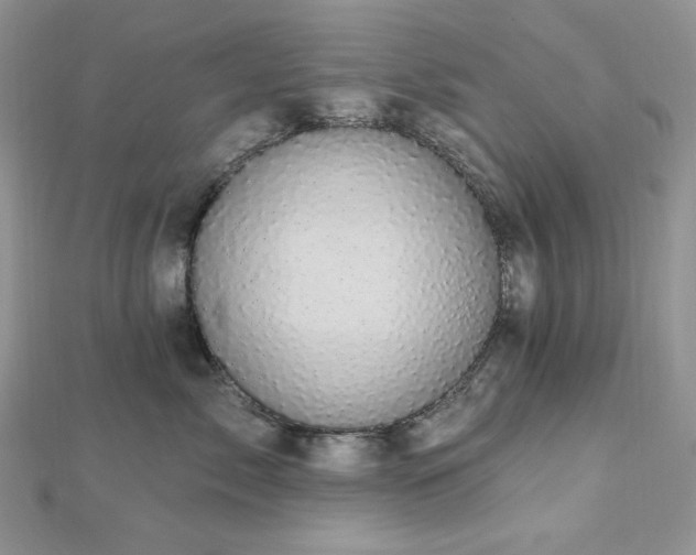 X0000112820717200908211206