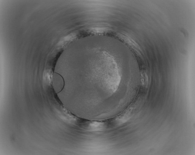 X0000112820718200908211206