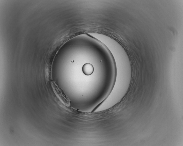 X0000112820720200908211206
