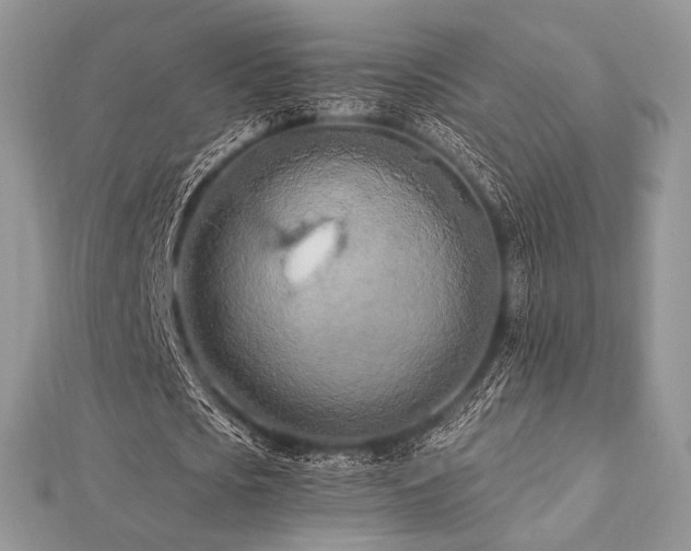 X0000112820721200908211205