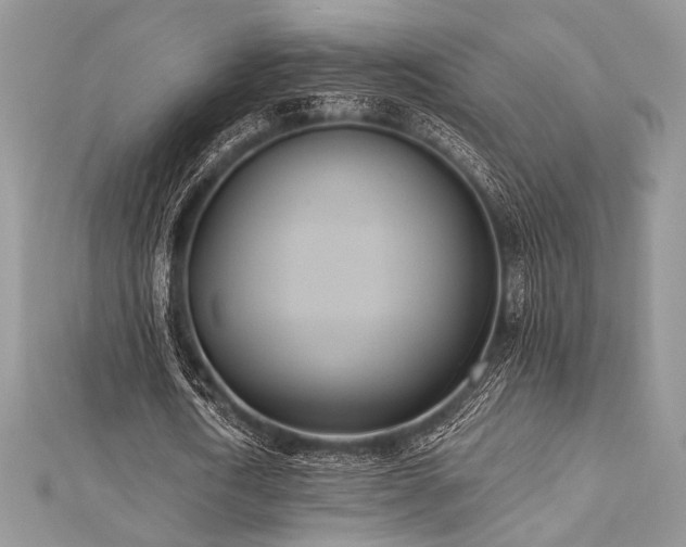 X0000112820722200908211205