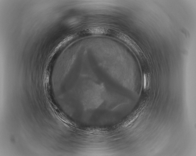 X0000112820723200908211205