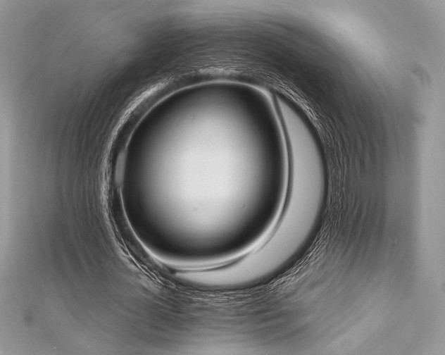X0000112820724200908211205