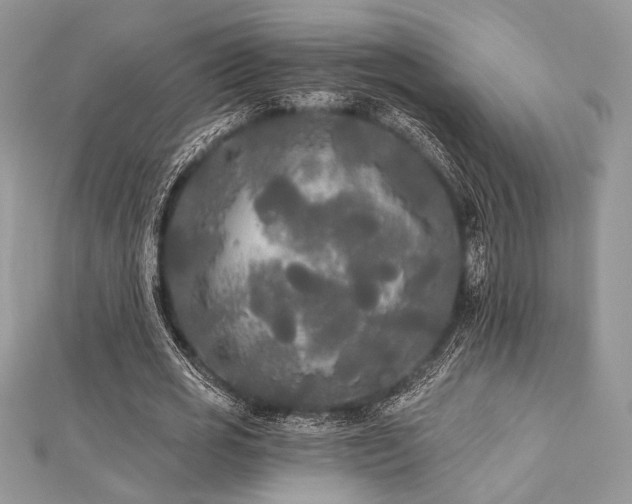 X0000112820725200908211205
