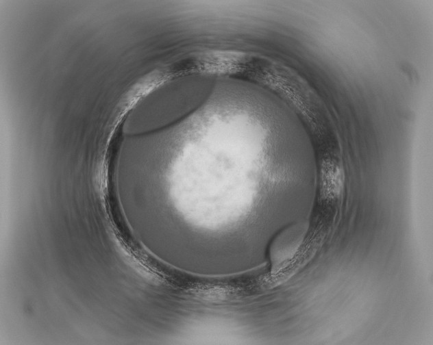 X0000112820726200908211205