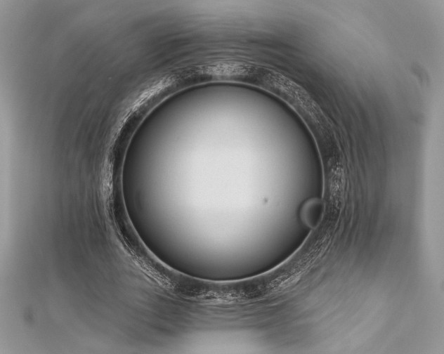 X0000112820727200908211205