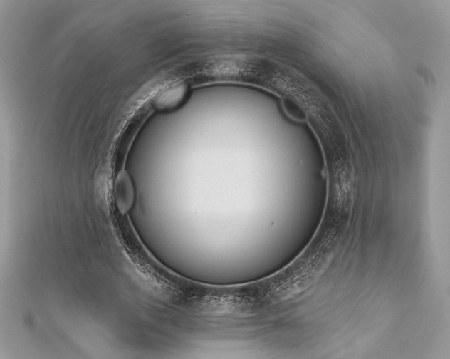 X0000112820728200908211205