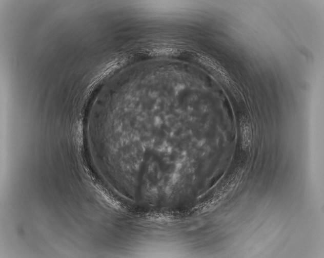 X0000112820729200908211205