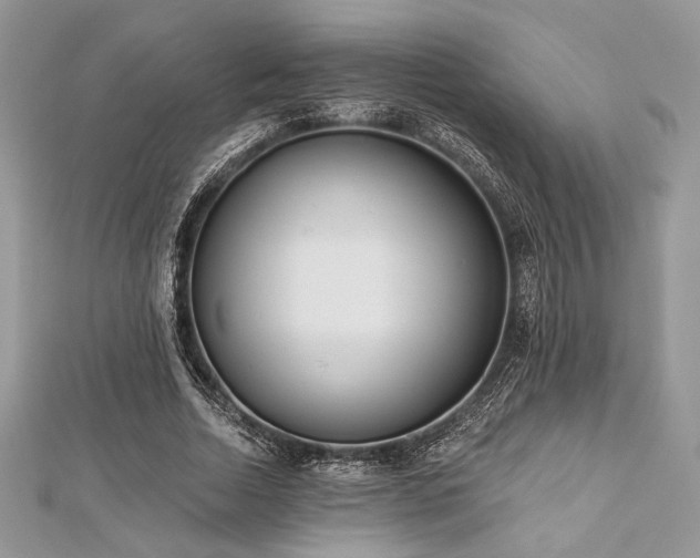 X0000112820730200908211205