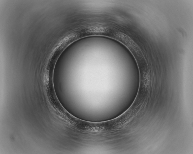 X0000112820731200908211205