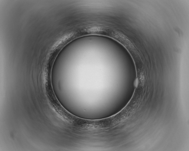 X0000112820732200908211205