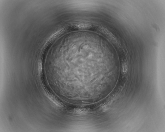 X0000112820733200908211205