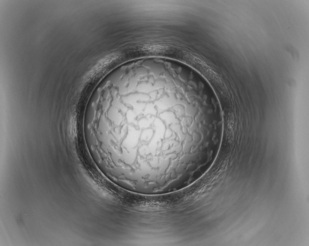 X0000112820734200908211205