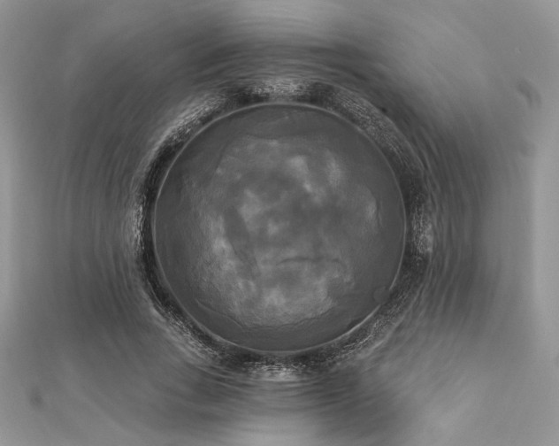 X0000112820735200908211205