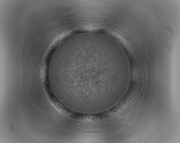 X0000112820736200908211205