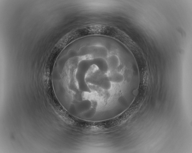 X0000112820737200908211205