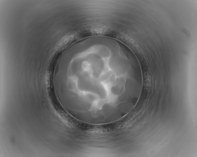 X0000112820738200908211205