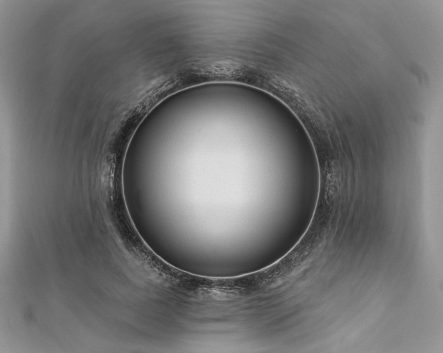 X0000112820739200908211205