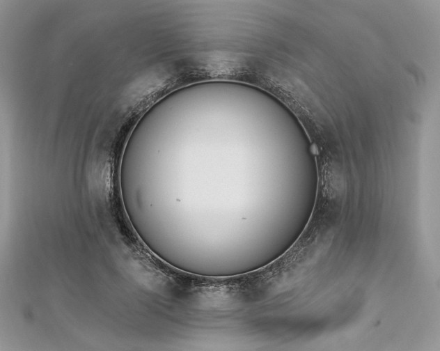 X0000112820740200908211205