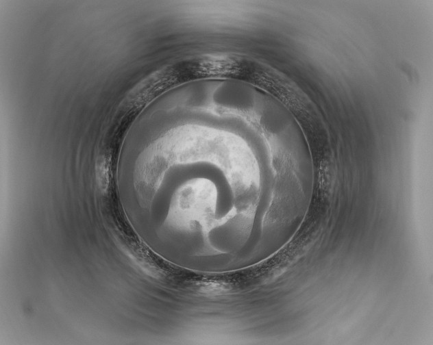 X0000112820741200908211205