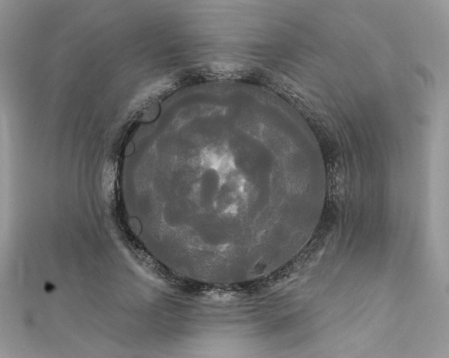 X0000112820742200908211205